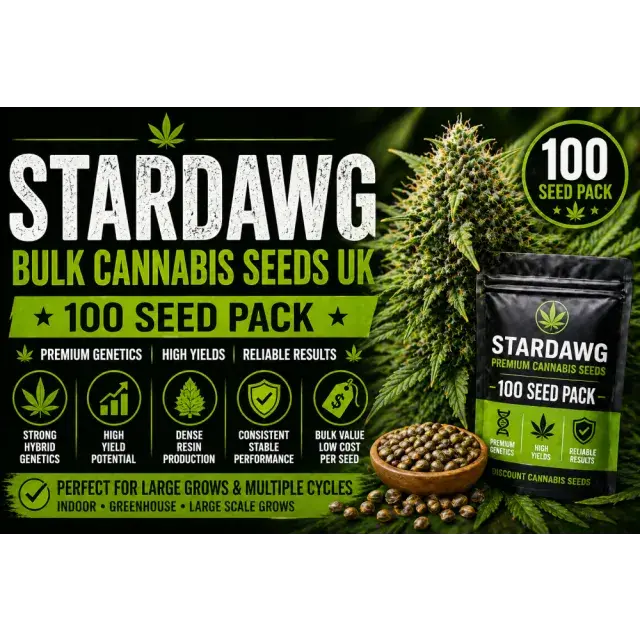 Stardawg Bulk Cannabis Seeds UK (100 Seed Pack Guide 2026).