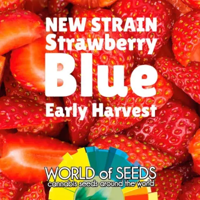 New Strains from World of Seeds - Discount Cannabis Seeds