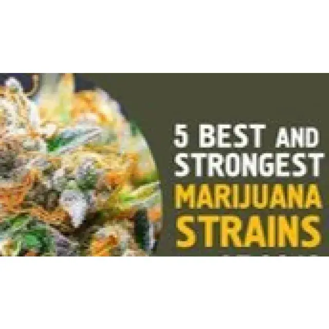 Cannabis Seeds - Strongest Weed Strains.