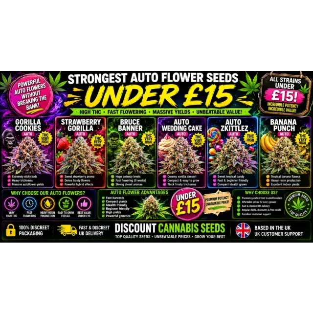 Cannabis Seeds: Strongest Auto Flower Seeds Under £15.