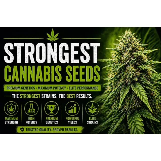 Strongest Cannabis Seeds UK (Most Potent Strains Guide 2026).