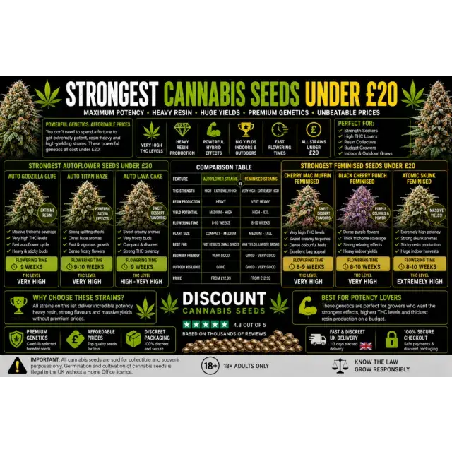 Cannabis Seeds: The Strongest Cannabis Seeds Under £20.