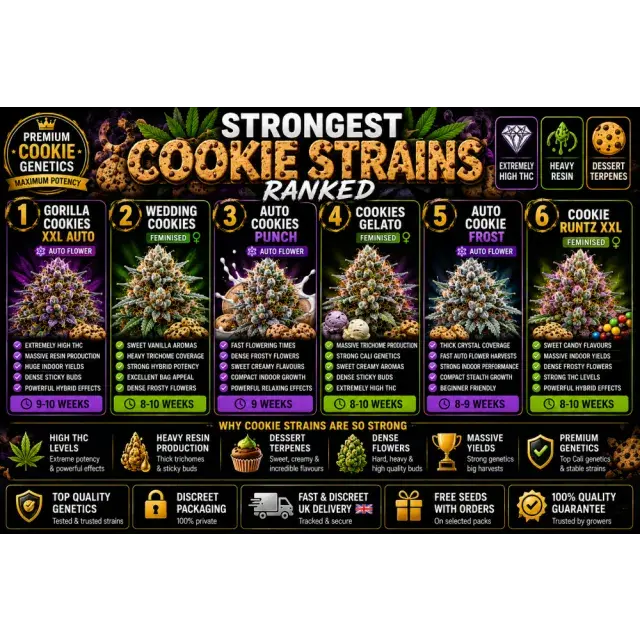 Cannabis Seeds: The Strongest Cookie Strains Ranked.