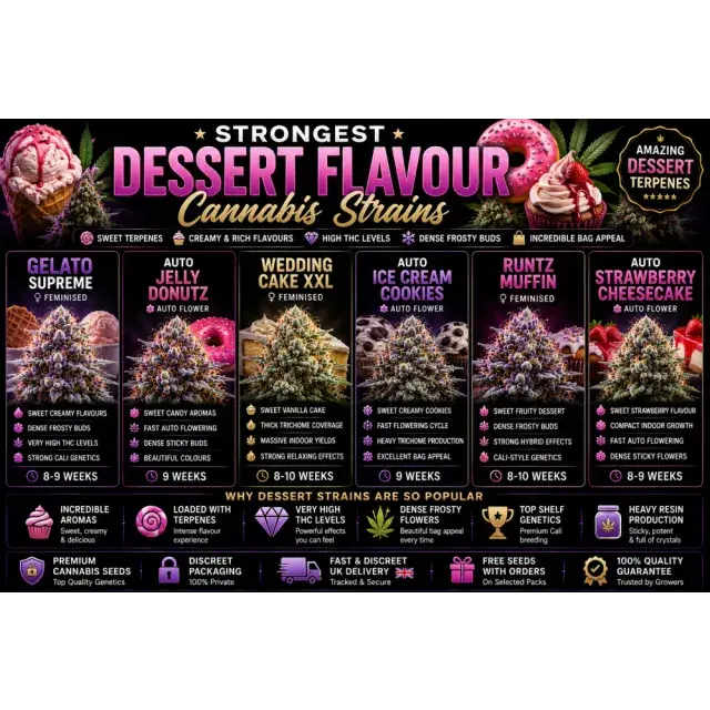 Cannabis Seeds: Strongest Dessert Flavour Cannabis Strains.