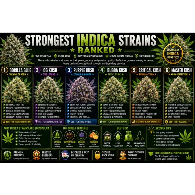 Cannabis Seeds: The Strongest Indica Strains Ranked.