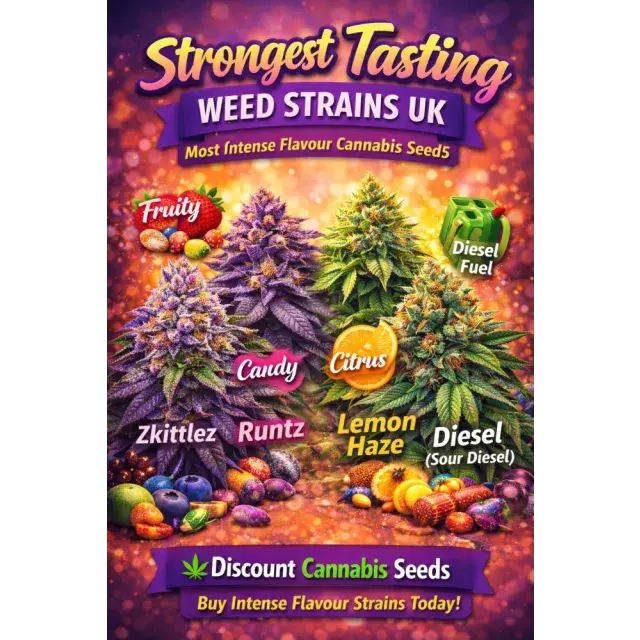 Strongest Tasting Cannabis Seeds Strains (Most Intense Flavour)