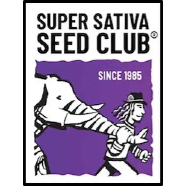 Super Sativa Seed Club - Discount Cannabis Seeds