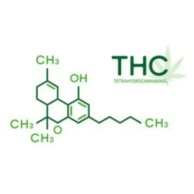 Cannabis Seeds - Discount Cannabis Seeds