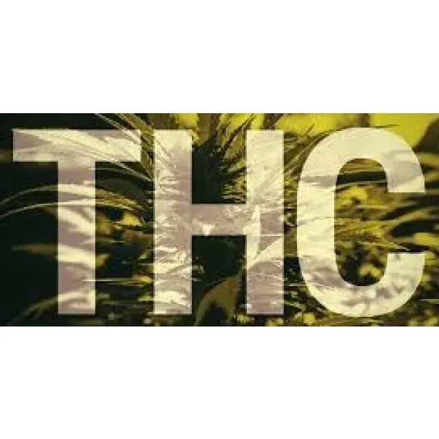 Cannabis Seeds - Discount Cannabis Seeds