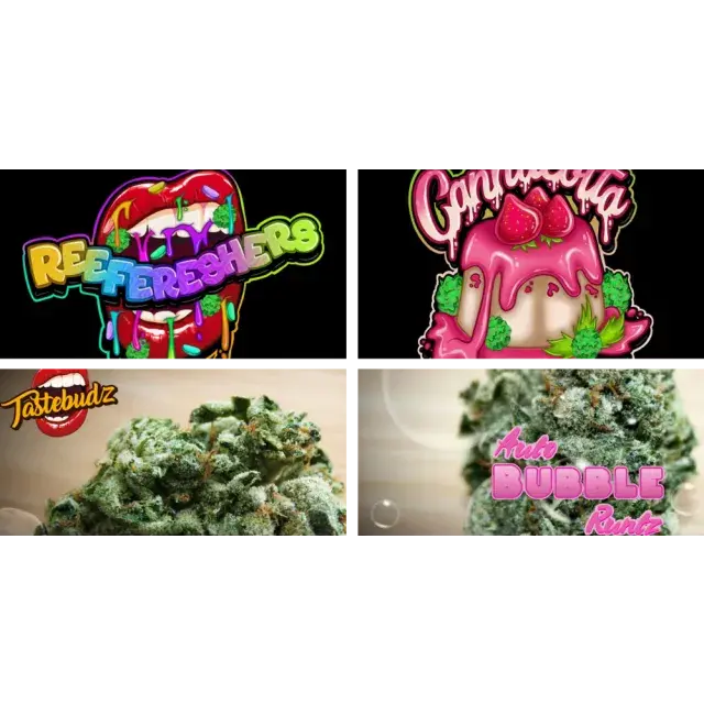 New Cannabis Seeds Strains from Tastebudz