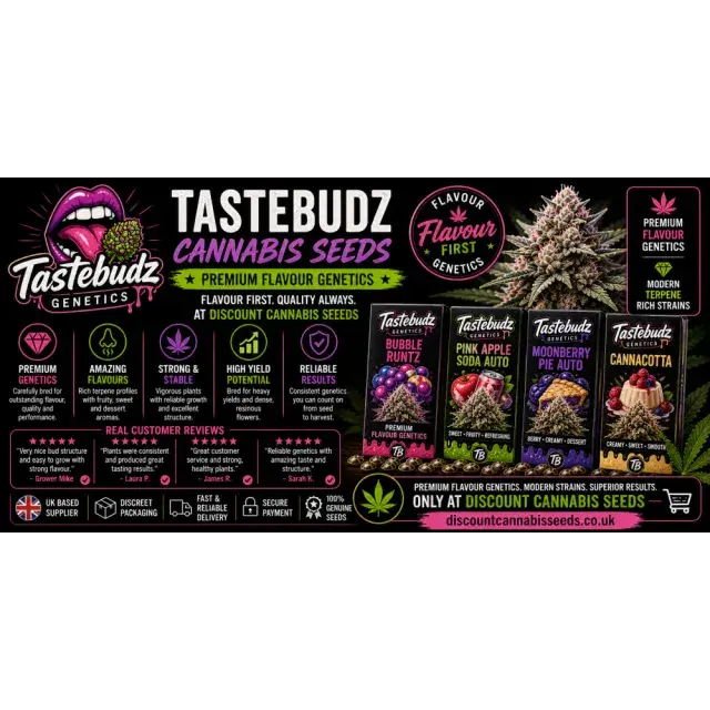 Tastebudz Cannabis Seeds (Best Flavour Genetics Seed Bank Review)