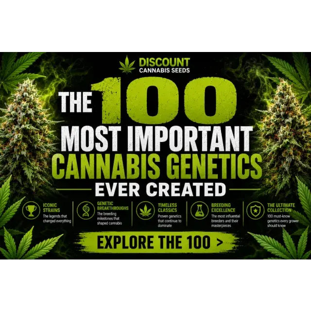 Cannabis Seeds: The 100 Most Important Cannabis Genetics Ever Created