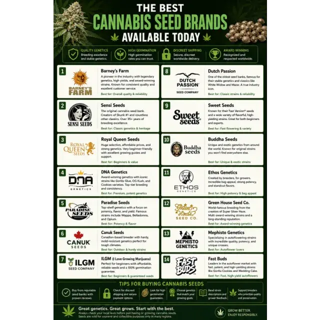 Cannabis Seeds: The Best Cannabis Seed Brands Available Today.
