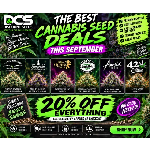 Cannabis Seeds: The Best Cannabis Seed Deals This September.