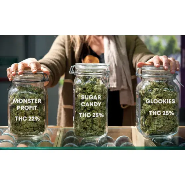 How Commercial Growers Select Cannabis Seeds for Large-Scale Production.