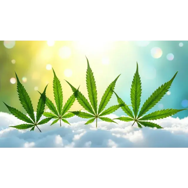 Entdecken Sie die Vielfalt der Cannabissamen: Ein umfassender Leitfaden bei Discount Cannabis Seeds.