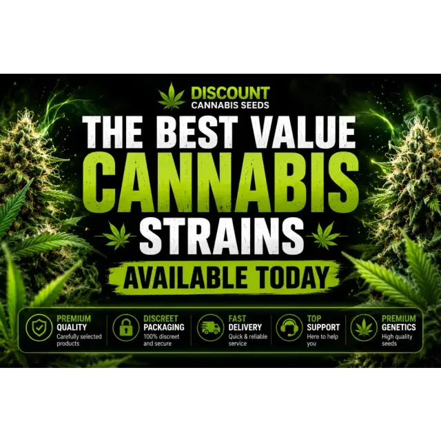 Cannabis Seeds: The Best Value Cannabis Seeds Available Today.