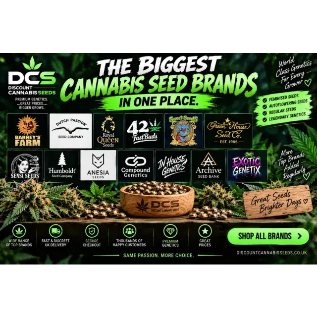 Cannabis Seeds: The Biggest Cannabis Seeds Brands in One Place.