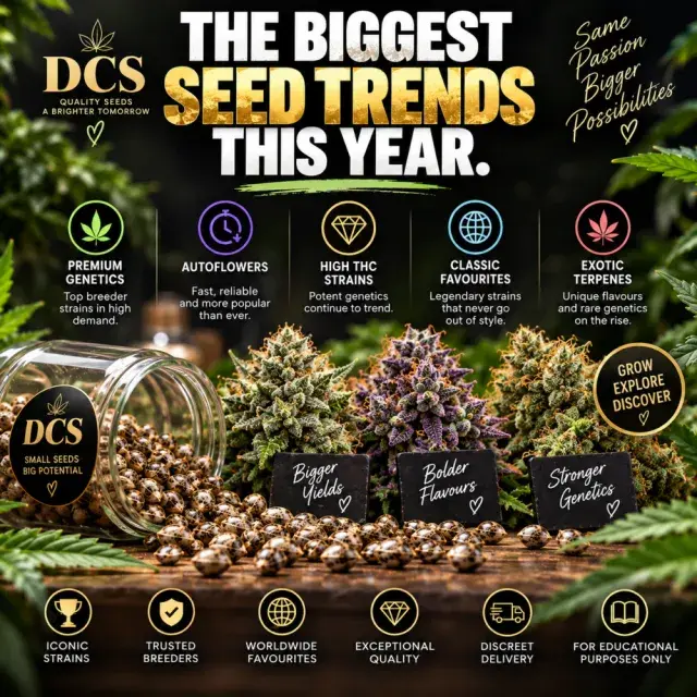 Cannabis Seeds: The Biggest Cannabis Seeds Trends This Year.