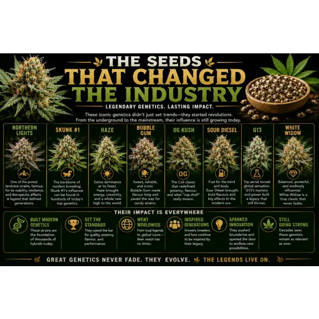 Cannabis Seeds: The Cannabis Seeds That Changed the Industry.