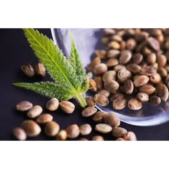 The Complete Cannabis Seeds Encyclopedia (A–Z Guide)