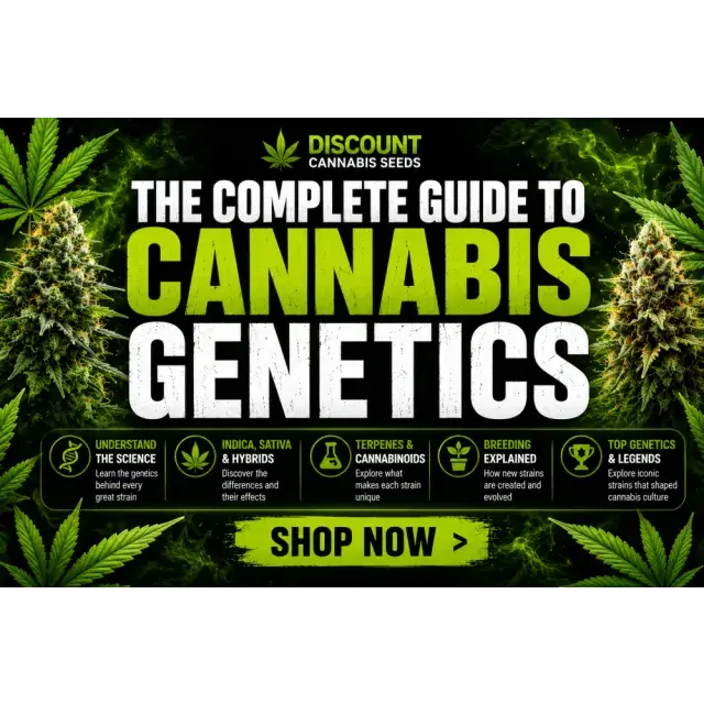 Cannabis Seeds: The Complete Guide to Cannabis Genetics.