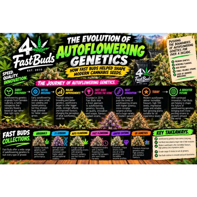 Cannabis Seeds: The Evolution of Autoflowering Genetics: How Fast Buds Helped Shape Modern Cannabis Seeds.