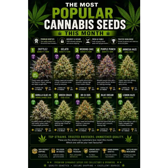 Cannabis Seeds: The Most Popular Cannabis Seeds This Month.