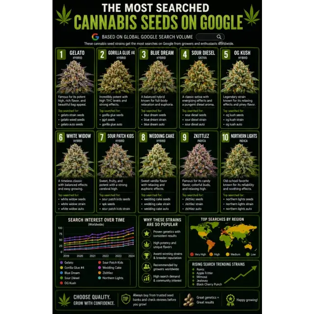 Cannabis Seeds: The Most Searched Cannabis Seeds on Google.