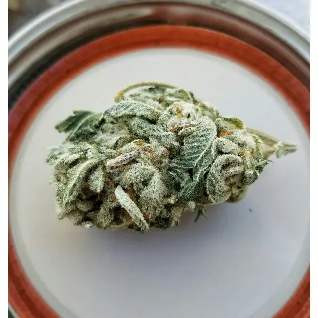Discover the Top 10 Strongest Indica Cannabis Seeds at Discount Cannabis Seeds.