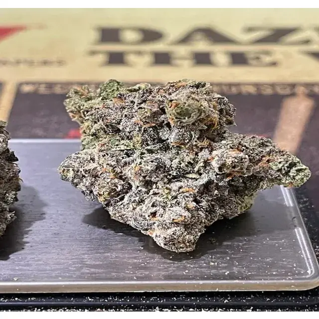 Polyhybrid Cannabis Seeds Explained – The Pros And Cons.