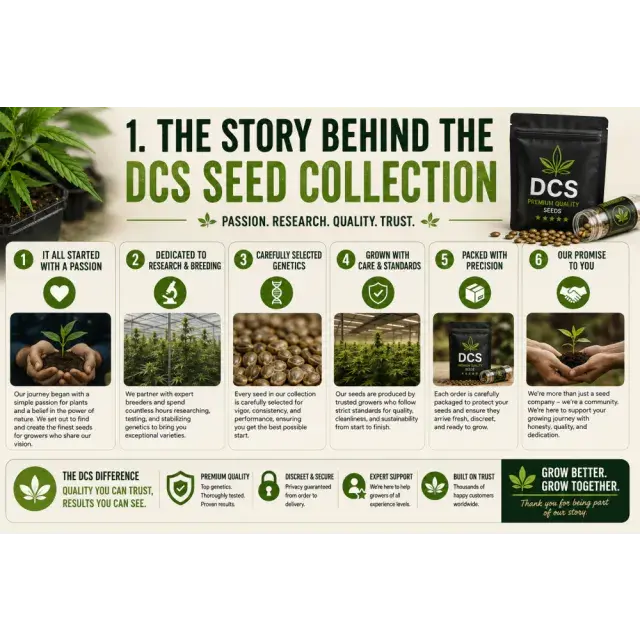 Cannabis Seeds: The Story Behind the DCS Cannabis Seed Collection.
