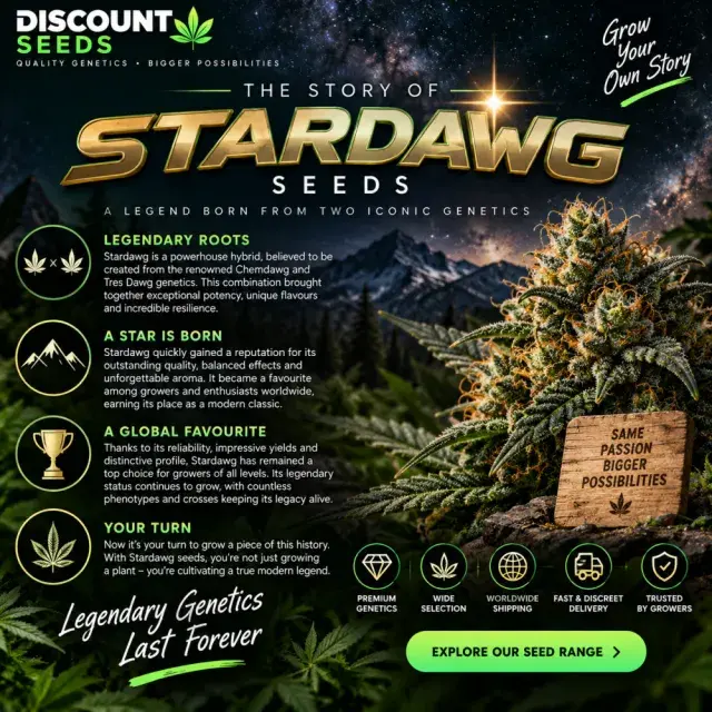 Cannabis Seeds: The Story of Stardawg Cannabis Seeds.