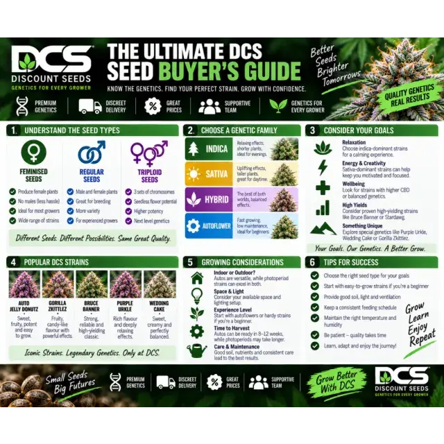 Cannabis Seeds: The Ultimate DCS Cannabis Seed Buyer's Guide.