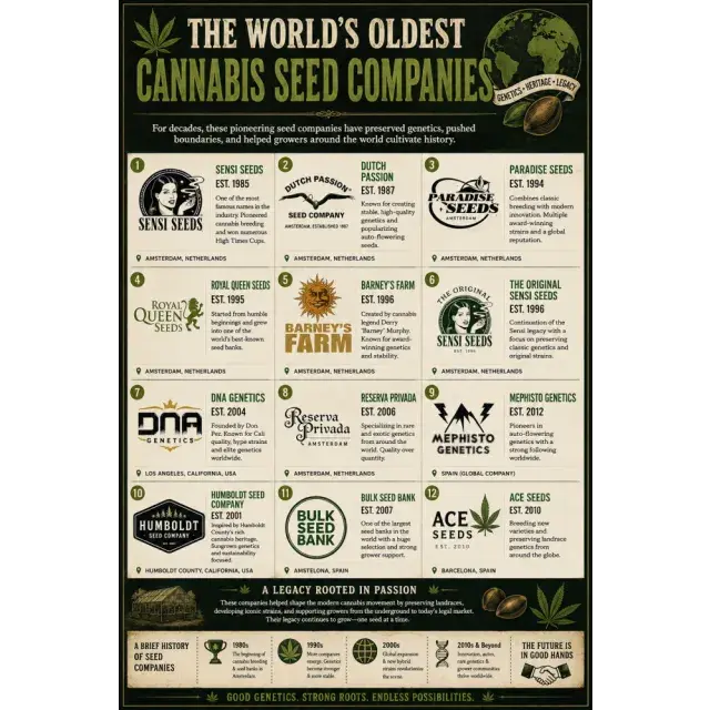 Cannabis Seeds: The World's Oldest Cannabis Seed Companies.