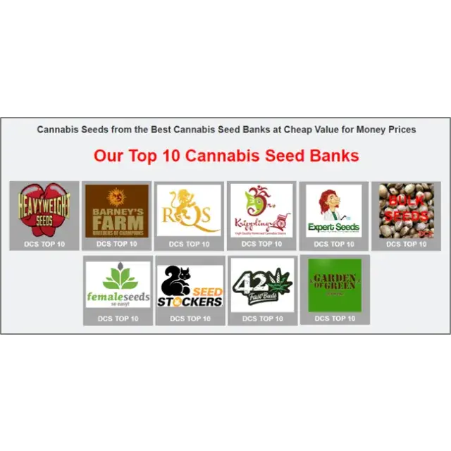 Top 10 Cannabis Seed Banks - Discount Cannabis Seeds