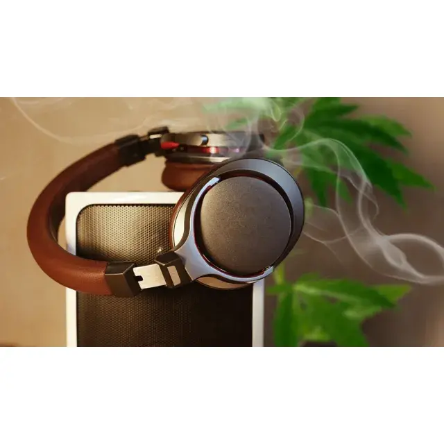 Cannabis Seeds - Top 10 Songs to Listen While Blazing.