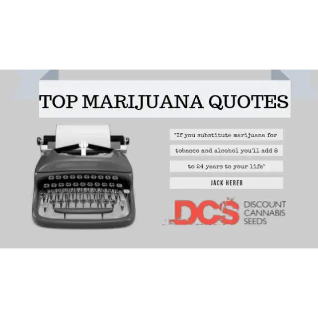 Top Cannabis Quotes - Discount Cannabis Seeds