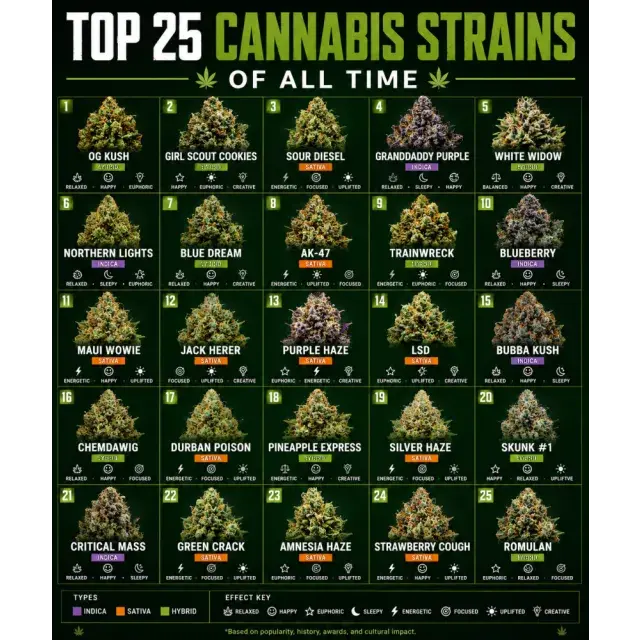 Cannabis Seeds: The Top 25 Cannabis Strains of All Time.