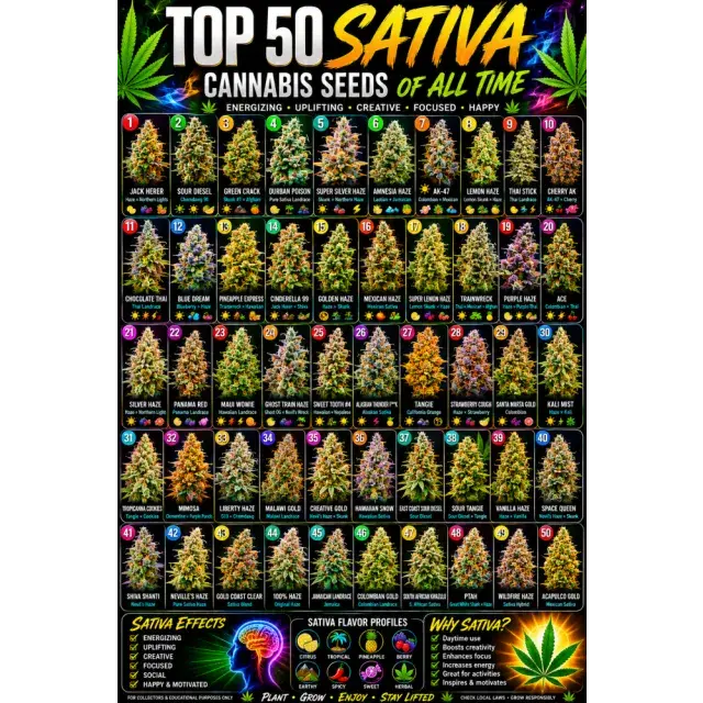 Cannabis Seeds: The Top 50 Sativa Cannabis Seeds of All Time.