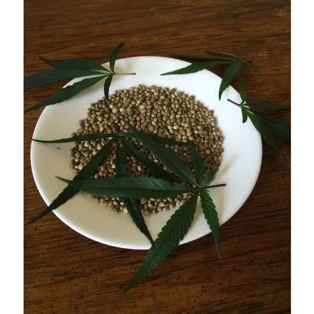 Top Cannabis Seeds Strains for 2025: Expert Picks for Quality.
