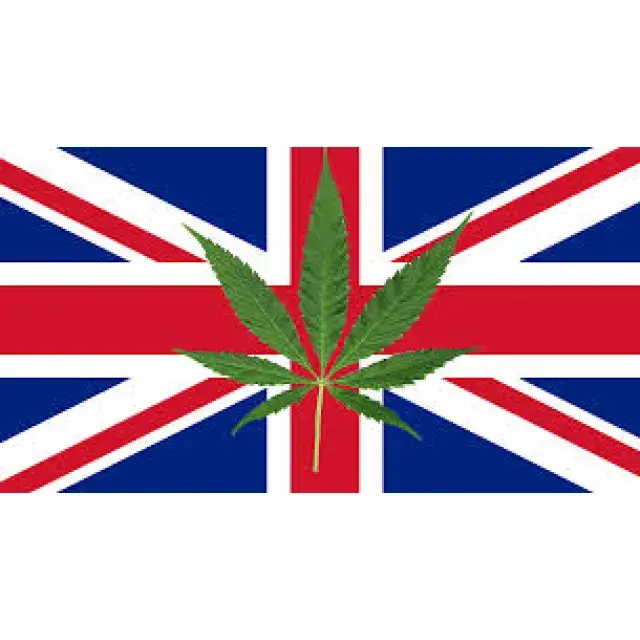 UK Cannabis Seeds  - What's happening? Discount Cannabis Seeds.