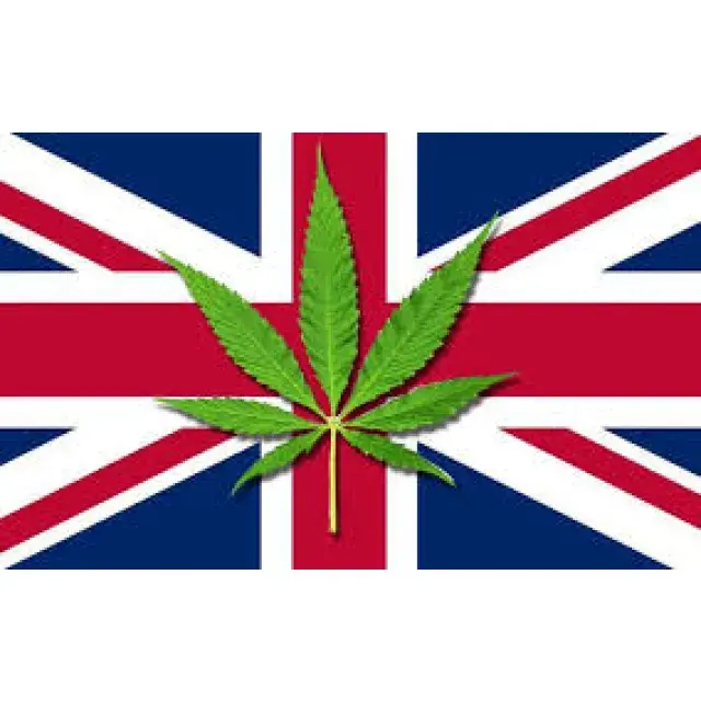 Cannabis Seeds and the Top Breeders