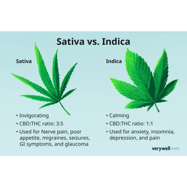 Understanding the Key Differences Between Indica and Sativa Cannabis Seeds: A Guide from Discount Cannabis Seeds