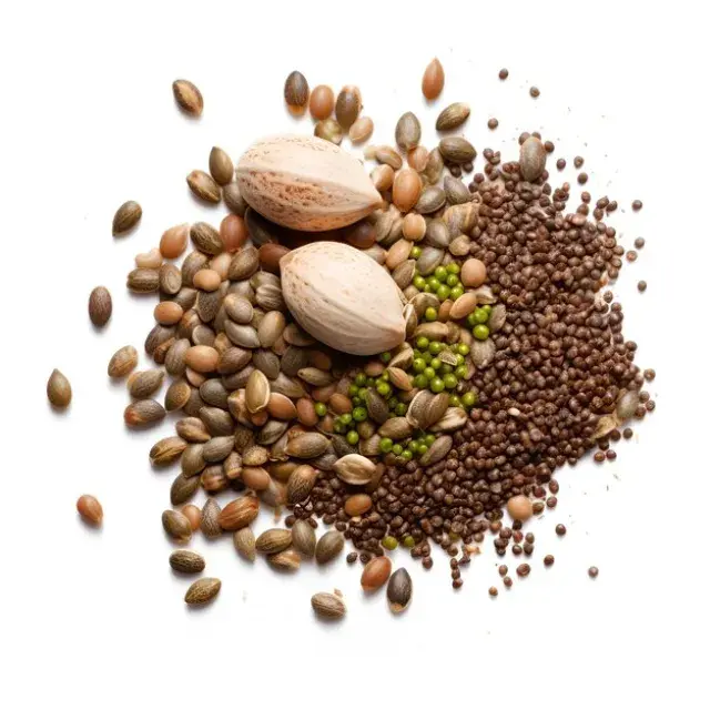 Discover Why Stardawg Cannabis Seeds are a Must-Try at Discount Cannabis Seeds