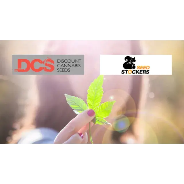Cannabis Seeds - Seed Stockers - Discount Cannabis Seeds