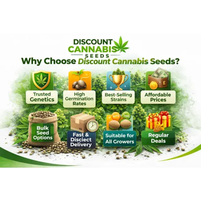 Why Choose Discount Cannabis Seeds? (Top Reasons)