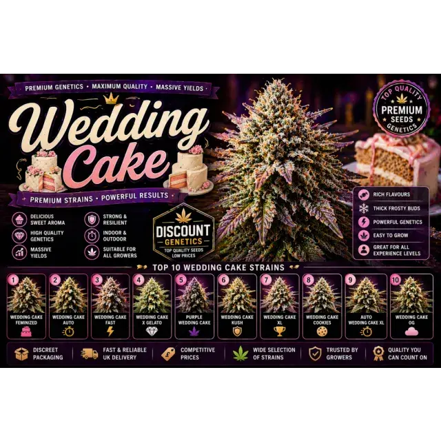 Wedding Cake Cannabis Seeds UK (Premium Strain Guide 2026).