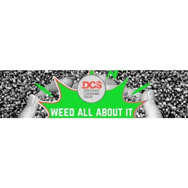 Weed all about it - Discount Cannabis Seeds