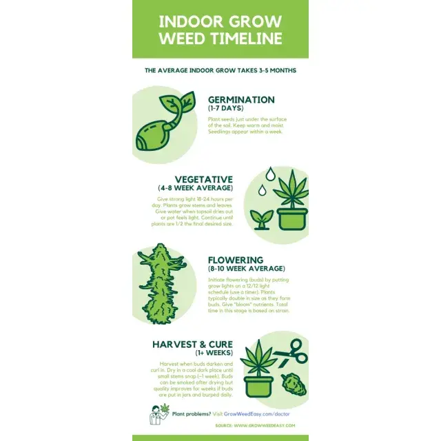 What to Expect When Growing from Seed: A Comprehensive Week-by-Week Guide at Discount Cannabis Seeds.